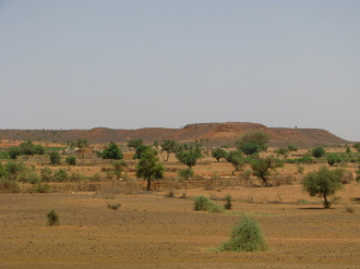 03 Des Arbres Clairsemes